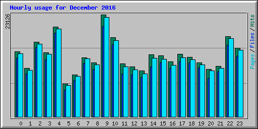 Hourly usage for December 2016